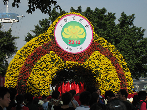 11 進入小欖菊花展會場