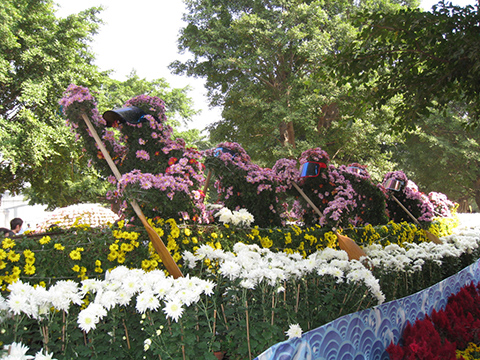 12 小欖菊花展會場