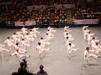 傳統楊氏37式太極拳  傳統楊氏37式太極拳