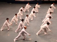 傳統楊氏37式太極拳  傳統楊氏37式太極拳