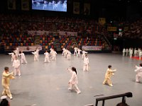 綜合太極拳,劍及段位對打套路  綜合太極拳,劍及段位對打套路