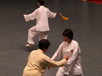 綜合太極拳,劍及段位對打套路  綜合太極拳,劍及段位對打套路