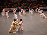 綜合太極拳,劍及段位對打套路  綜合太極拳,劍及段位對打套路