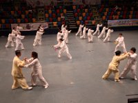 綜合太極拳,劍及段位對打套路  綜合太極拳,劍及段位對打套路
