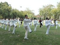 趙老師帶領演練85式  趙老師帶領演練85式