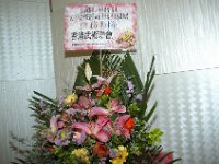 DSC 0008