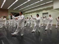 IMG 0286