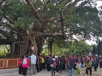 IMG-20170225-WA0028